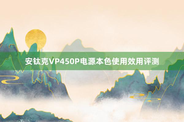 安钛克VP450P电源本色使用效用评测