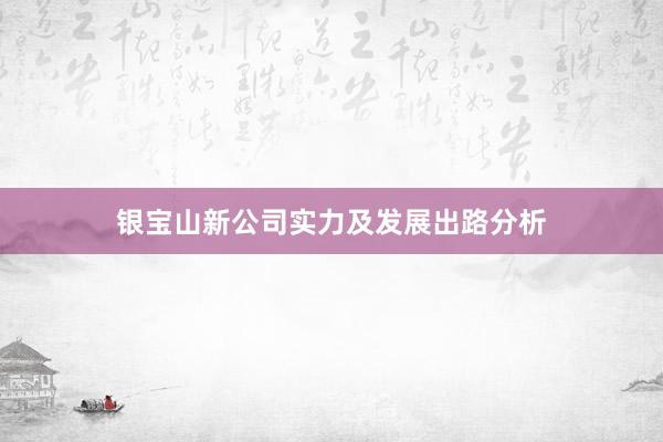 银宝山新公司实力及发展出路分析
