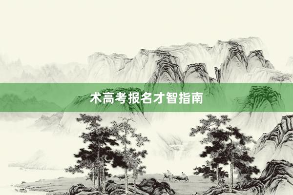 术高考报名才智指南