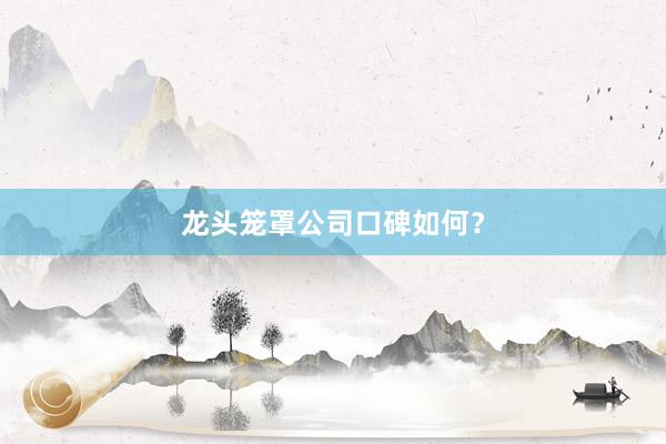 龙头笼罩公司口碑如何？