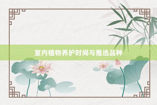 室内植物养护时间与推选品种